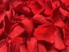 Konservierte Rosenblätter; rot