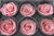 Konservierte Rosenköpfe, 6 Stück, rosa pastell